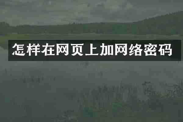 怎样在网页上加网络密码