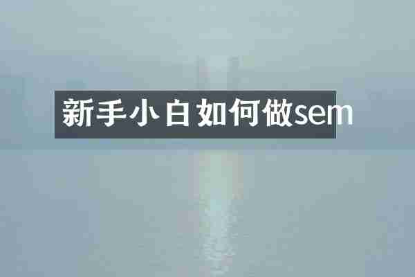 新手小白如何做sem