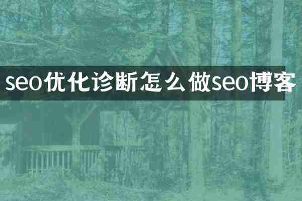 seo优化诊断怎么做seo博客