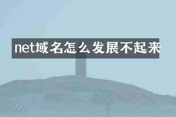 net域名怎么发展不起来