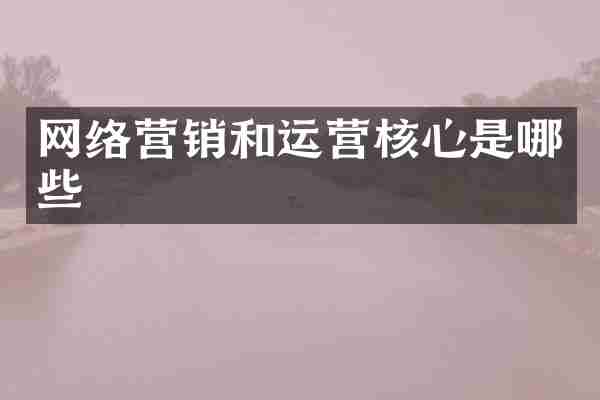 网络营销和运营核心是哪些