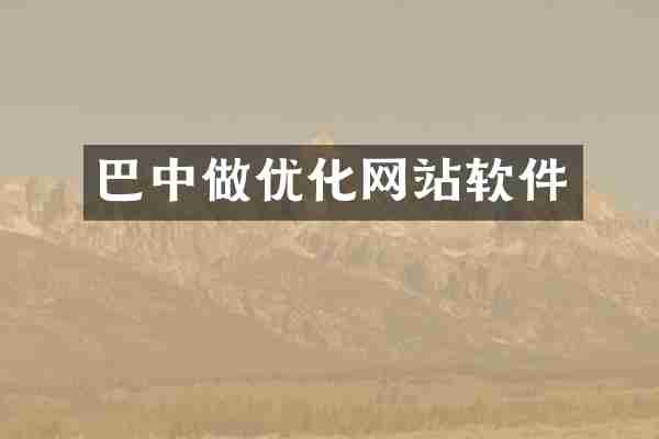 巴中做优化网站软件