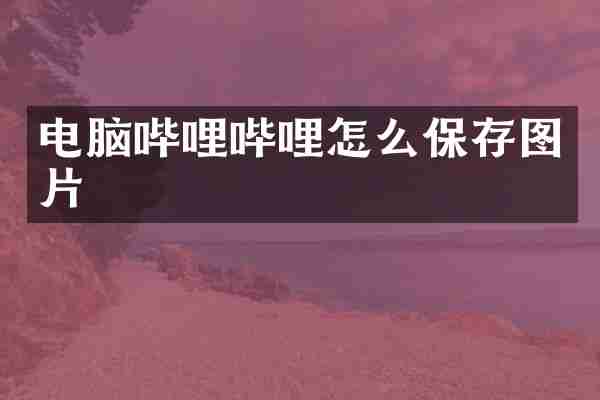 电脑哔哩哔哩怎么保存图片