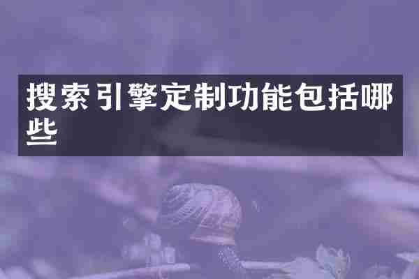 搜索引擎定制功能包括哪些