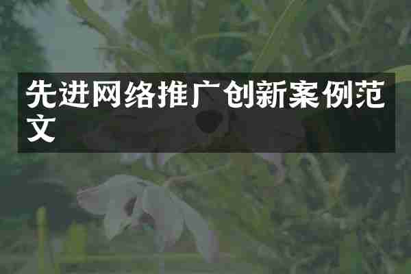 先进网络推广创新案例范文
