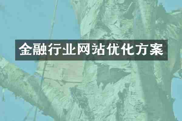 金融行业网站优化方案