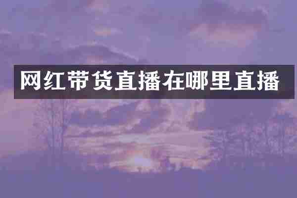 网红带货直播在哪里直播