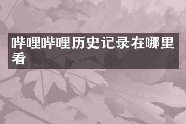 哔哩哔哩历史记录在哪里看