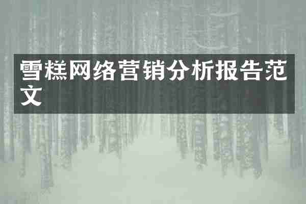 雪糕网络营销分析报告范文