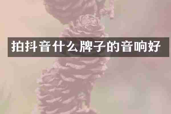 拍抖音什么牌子的音响好