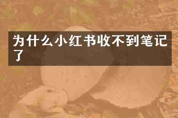 为什么小红书收不到笔记了