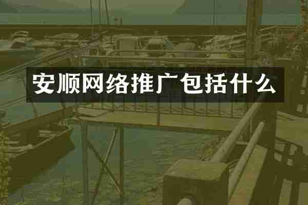 安顺网络推广包括什么