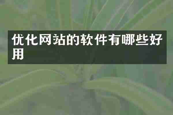 优化网站的软件有哪些好用