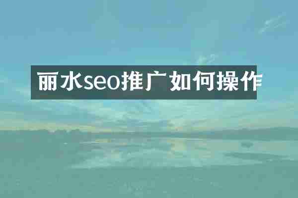 丽水seo推广如何操作