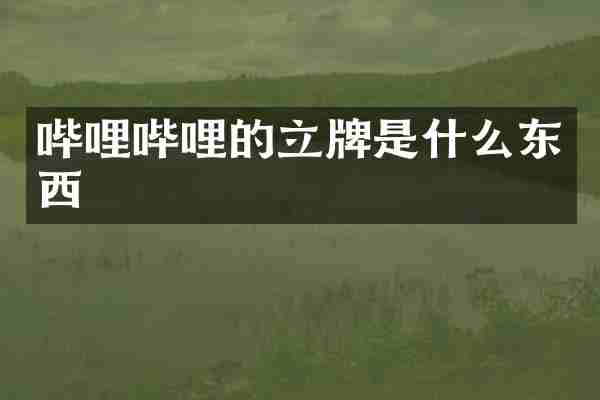 哔哩哔哩的立牌是什么东西