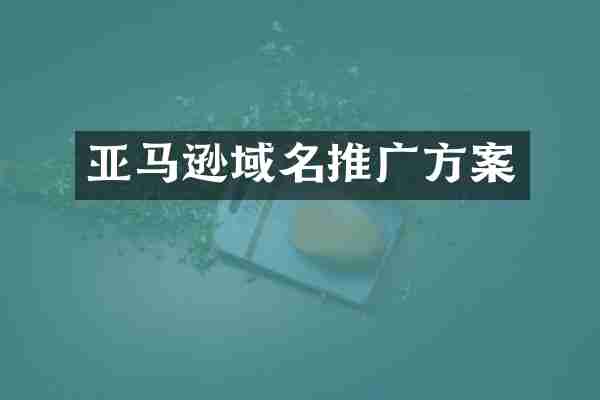 亚马逊域名推广方案