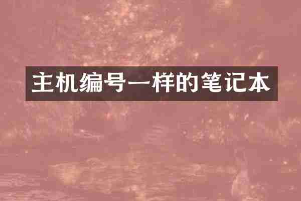 主机编号一样的笔记本