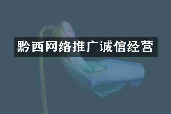 黔西网络推广诚信经营