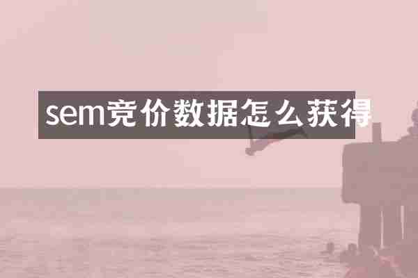 sem竞价数据怎么获得