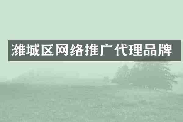 潍城区网络推广代理品牌