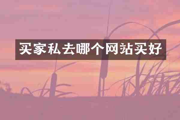 买家私去哪个网站买好