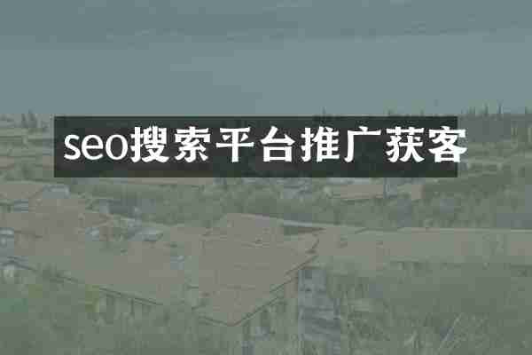 seo搜索平台推广获客