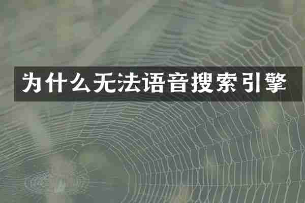 为什么无法语音搜索引擎