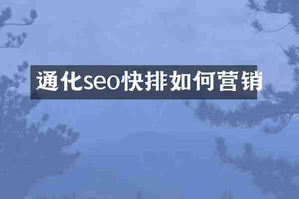 通化seo快排如何营销