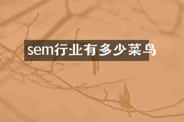 sem行业有多少菜鸟