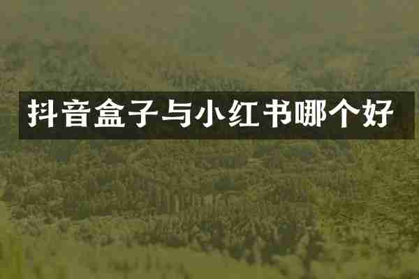 抖音盒子与小红书哪个好
