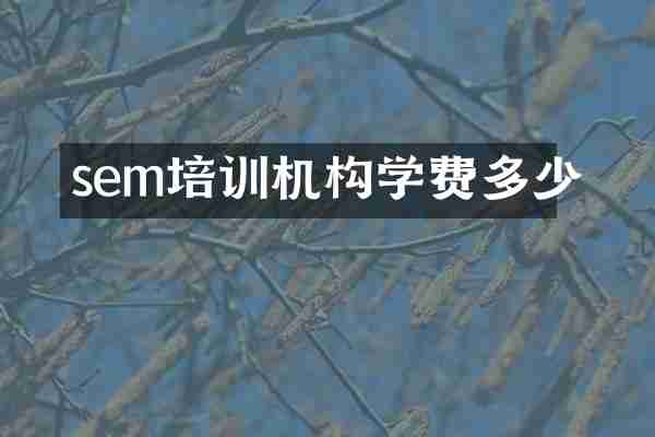 sem培训机构学费多少