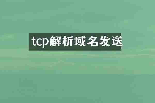 tcp解析域名发送