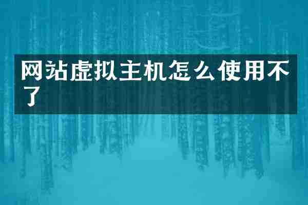 网站虚拟主机怎么使用不了