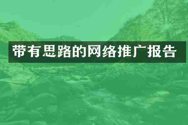 带有思路的网络推广报告