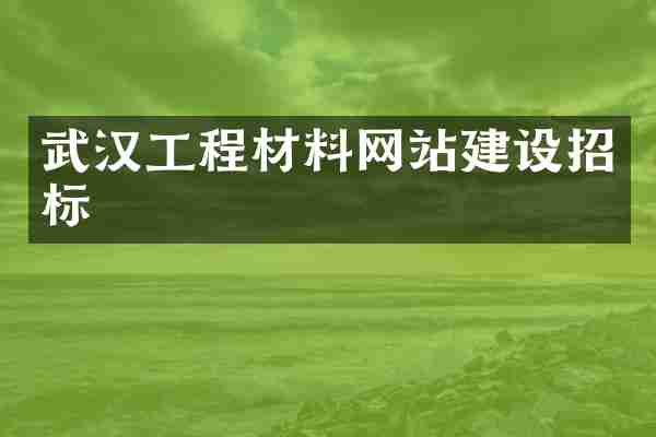 武汉工程材料网站建设招标