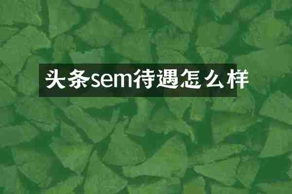 头条sem待遇怎么样