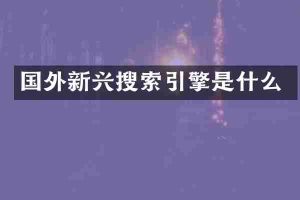 国外新兴搜索引擎是什么