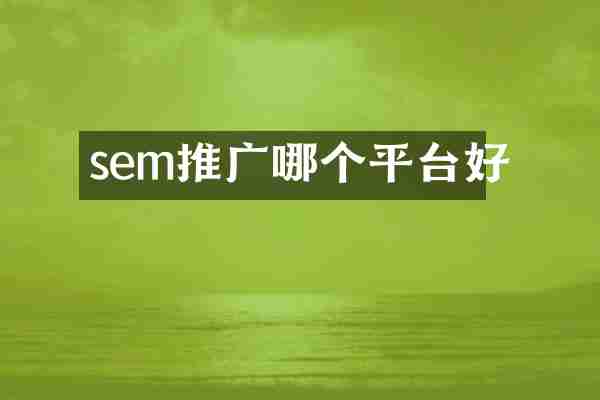 sem推广哪个平台好