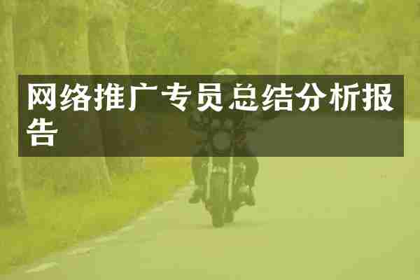 网络推广专员总结分析报告