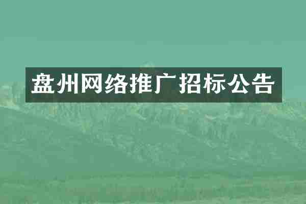 盘州网络推广招标公告