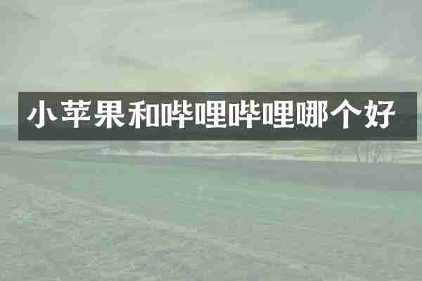 小苹果和哔哩哔哩哪个好