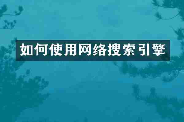 如何使用网络搜索引擎