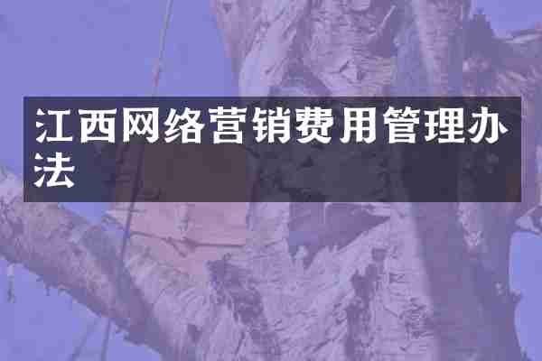 江西网络营销费用管理办法