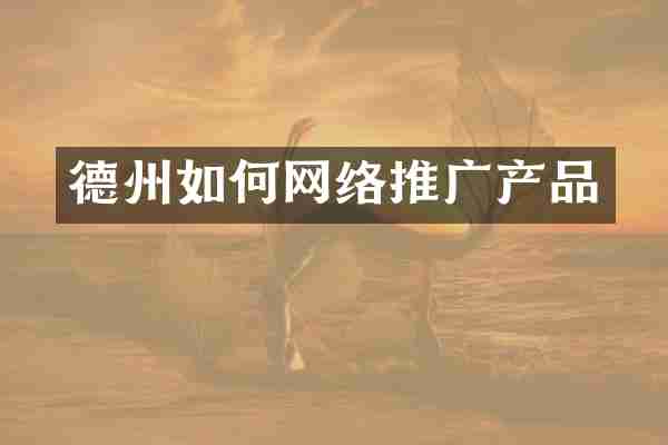 德州如何网络推广产品
