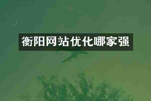 衡阳网站优化哪家强
