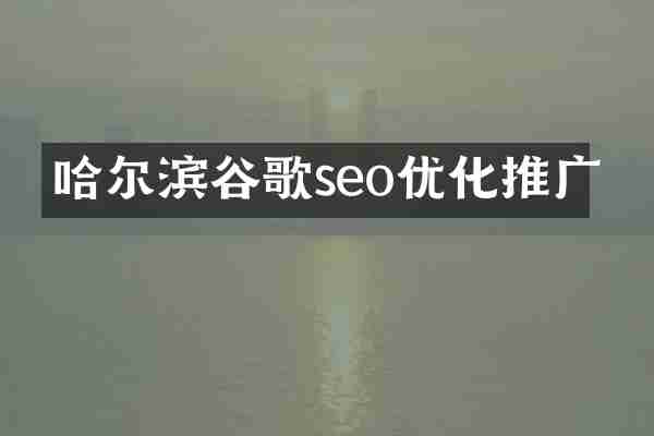 哈尔滨谷歌seo优化推广
