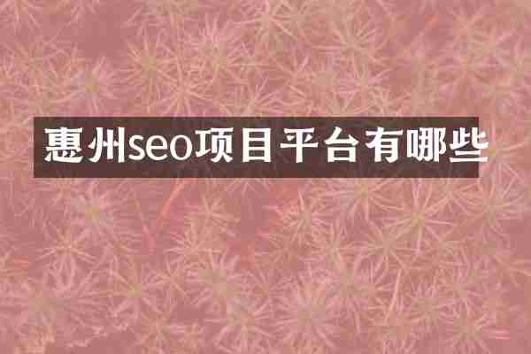 惠州seo项目平台有哪些