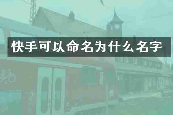 快手可以命名为什么名字