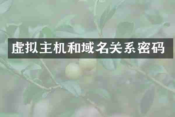 虚拟主机和域名关系密码