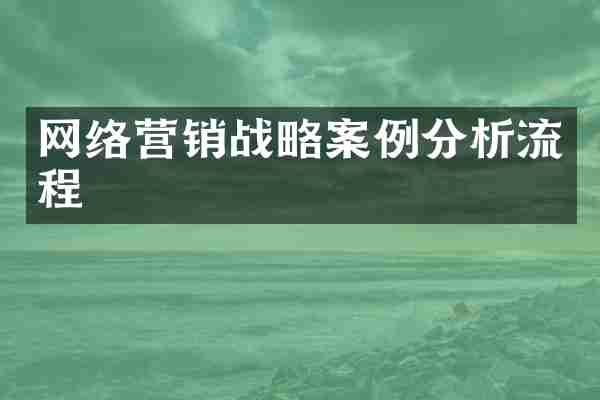 网络营销战略案例分析流程